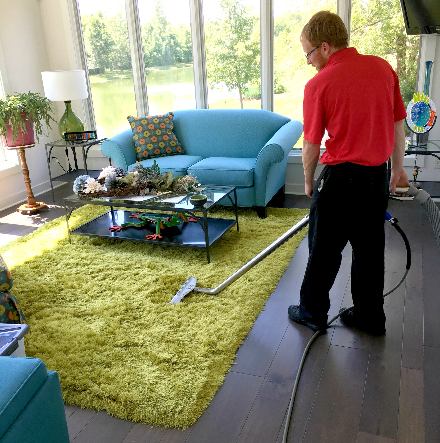 Rug Cleaning in Home