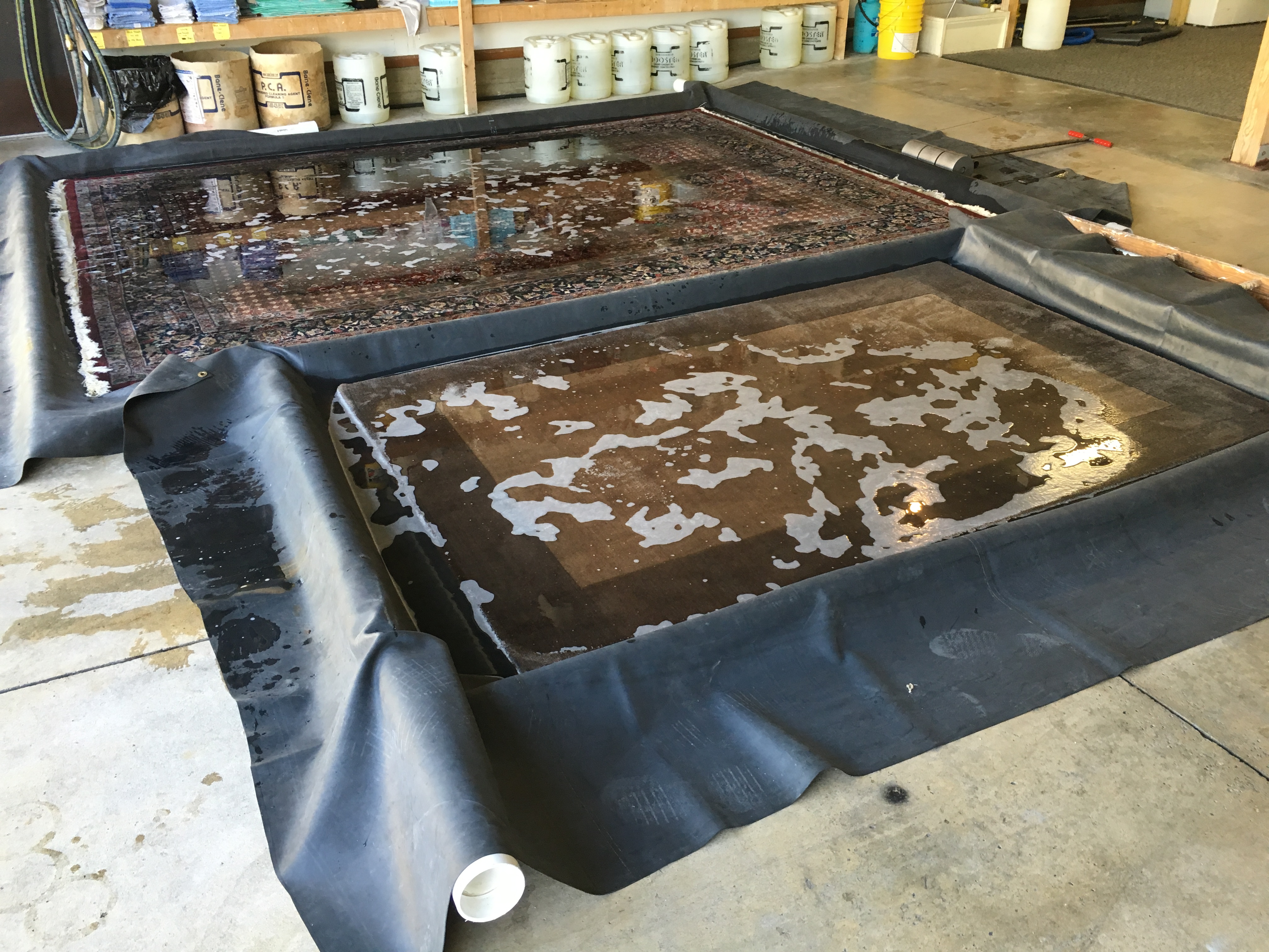 Full Immersion Rug Soaking to Remove Odors